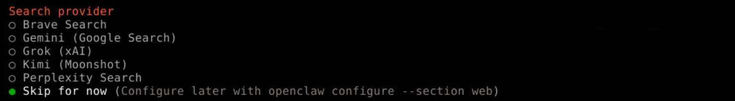 Web search provider - skip for now
